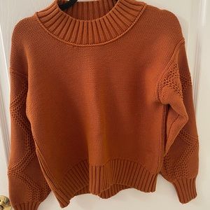 Everlane cotton cable sweater- pumpkin spice!